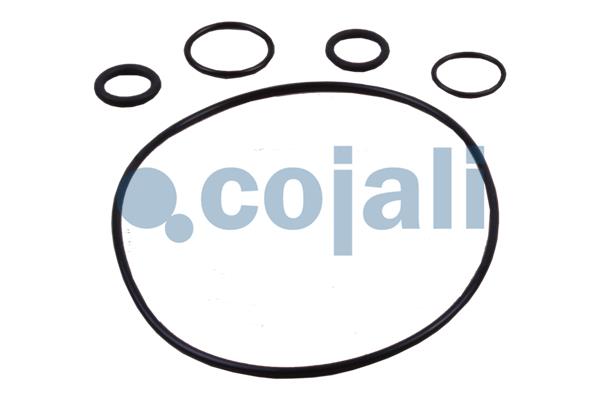 Cojali Koppelingsbekrachtiger reparatieset 6034038