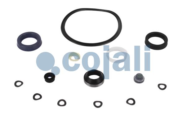 Cojali Koppelingsbekrachtiger reparatieset 6034039