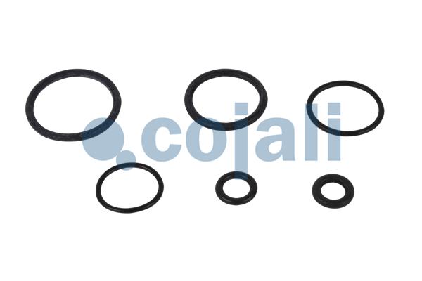 Cojali Koppelingsbekrachtiger reparatieset 6034039