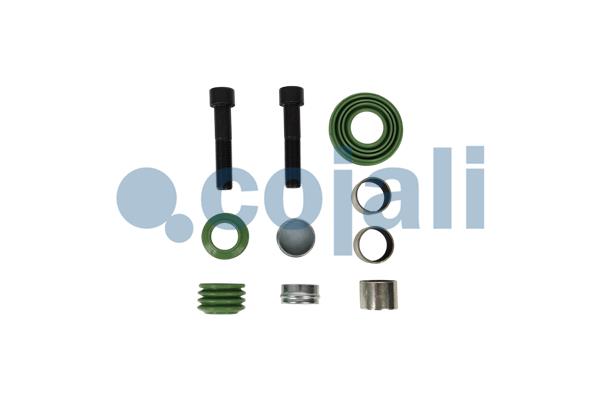 Remklauw revisie Cojali 6082029