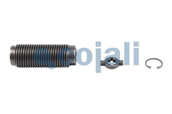 Remklauw revisie Cojali 6082506