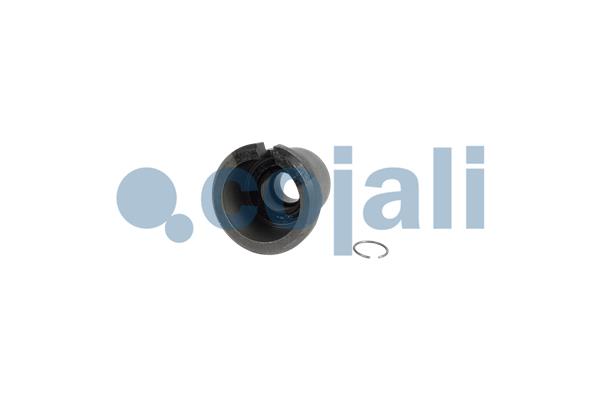 Remklauw revisie Cojali 6083041