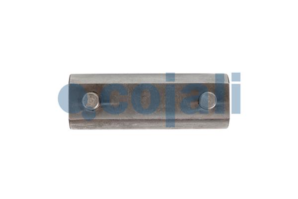 Remklauw revisie Cojali 6083046