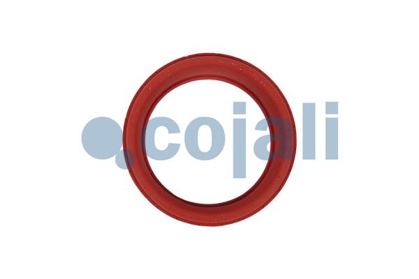 Remklauw revisie Cojali 6083501
