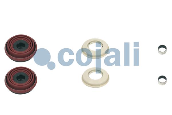 Remklauw revisie Cojali 6084002