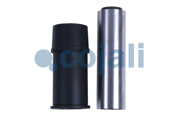Remklauw revisie Cojali 6084010