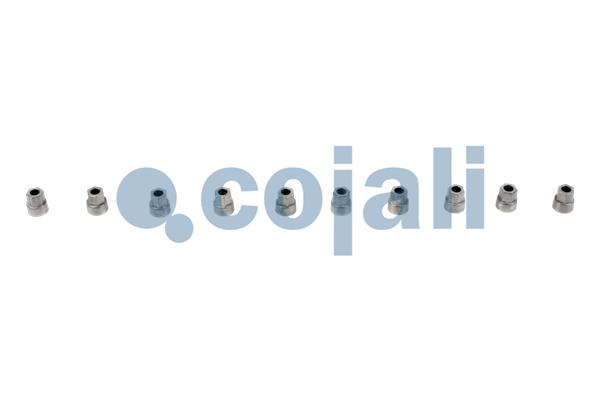 Remklauw revisie Cojali 6084030