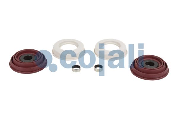 Remklauw revisie Cojali 6084032