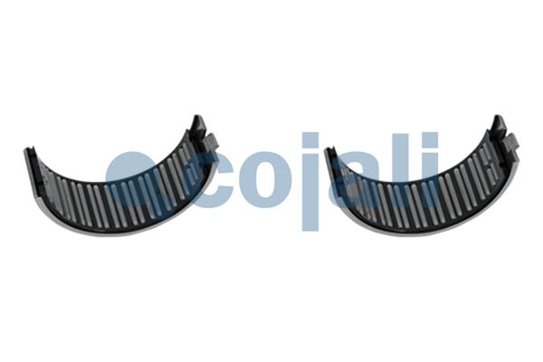 Remklauw revisie Cojali 6084530