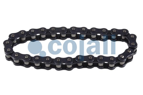 Remklauw revisie Cojali 6084541