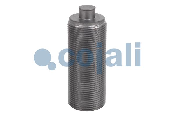 Remklauw revisie Cojali 6084565