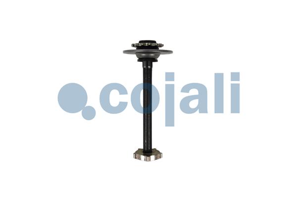Remklauw revisie Cojali 6084573