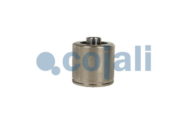 Cojali Remklauw revisie 6085001