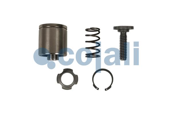 Remklauw revisie Cojali 6085005