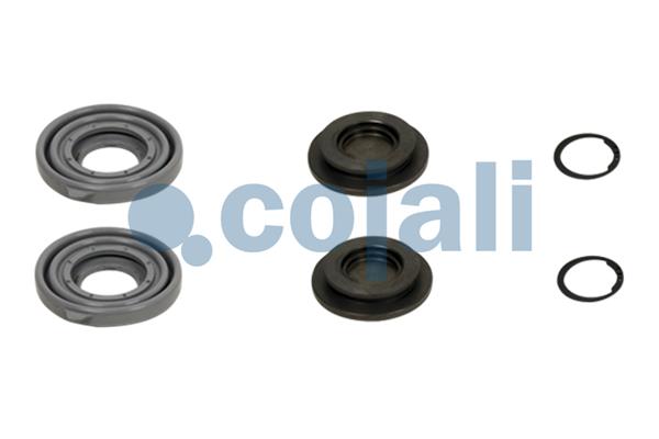 Remklauw revisie Cojali 6086011