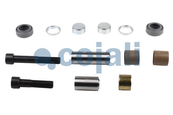 Remklauw revisie Cojali 6086086
