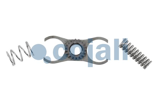 Remklauw revisie Cojali 6086092