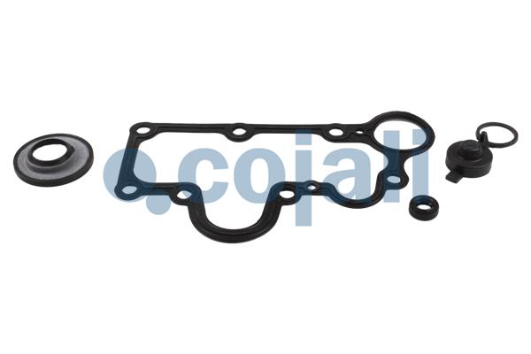 Remklauw revisie Cojali 6086095