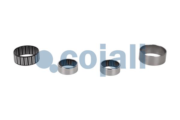 Remklauw revisie Cojali 6086117