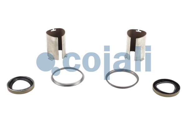 Remklauw revisie Cojali 6086508