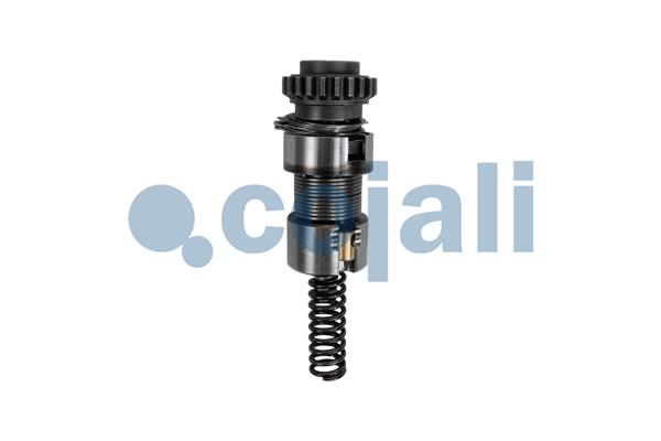 Remklauw revisie Cojali 6086520
