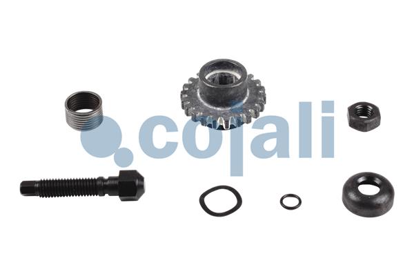 Remklauw revisie Cojali 6086521