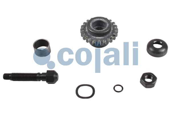 Remklauw revisie Cojali 6086522