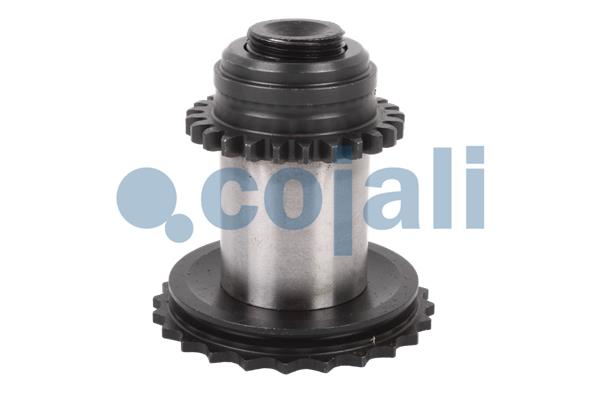 Remklauw revisie Cojali 6086524