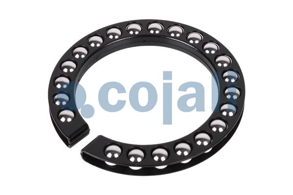 Remklauw revisie Cojali 6086533