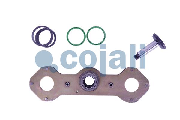 Remklauw revisie Cojali 6086580