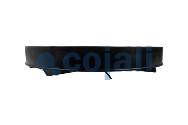 Cojali Ventilatorwiel-motorkoeling 7247105