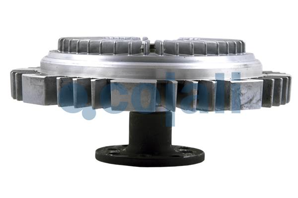 Visco-koppeling Cojali 8124136