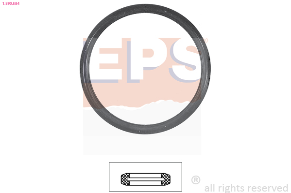 Thermostaathuis pakking EPS 1.890.584