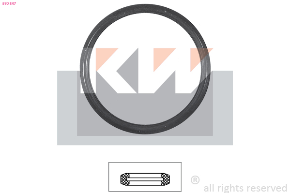 Thermostaathuis pakking KW 590 547