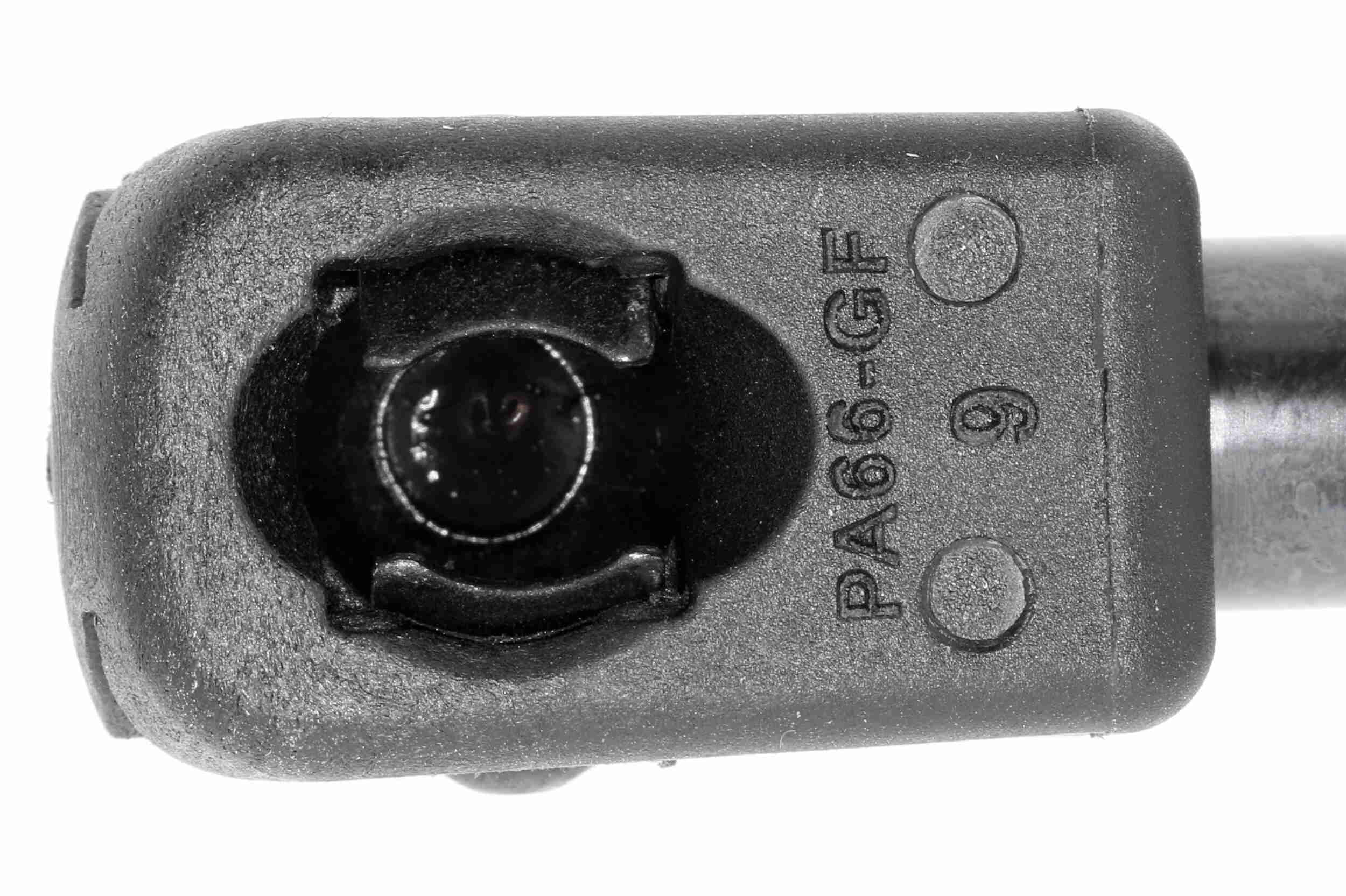 Ackoja Gasveer, kofferruimte A26-0098