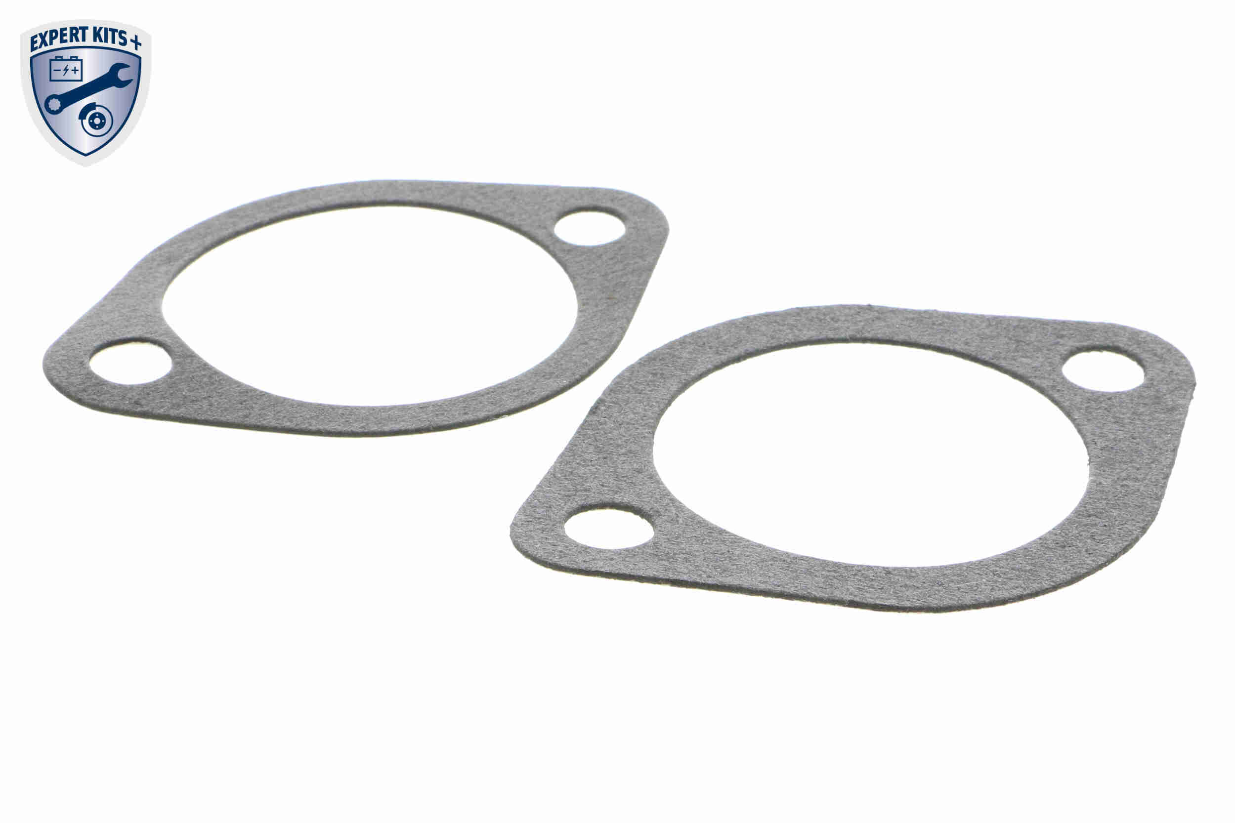 Ackoja Thermostaat A32-99-0088