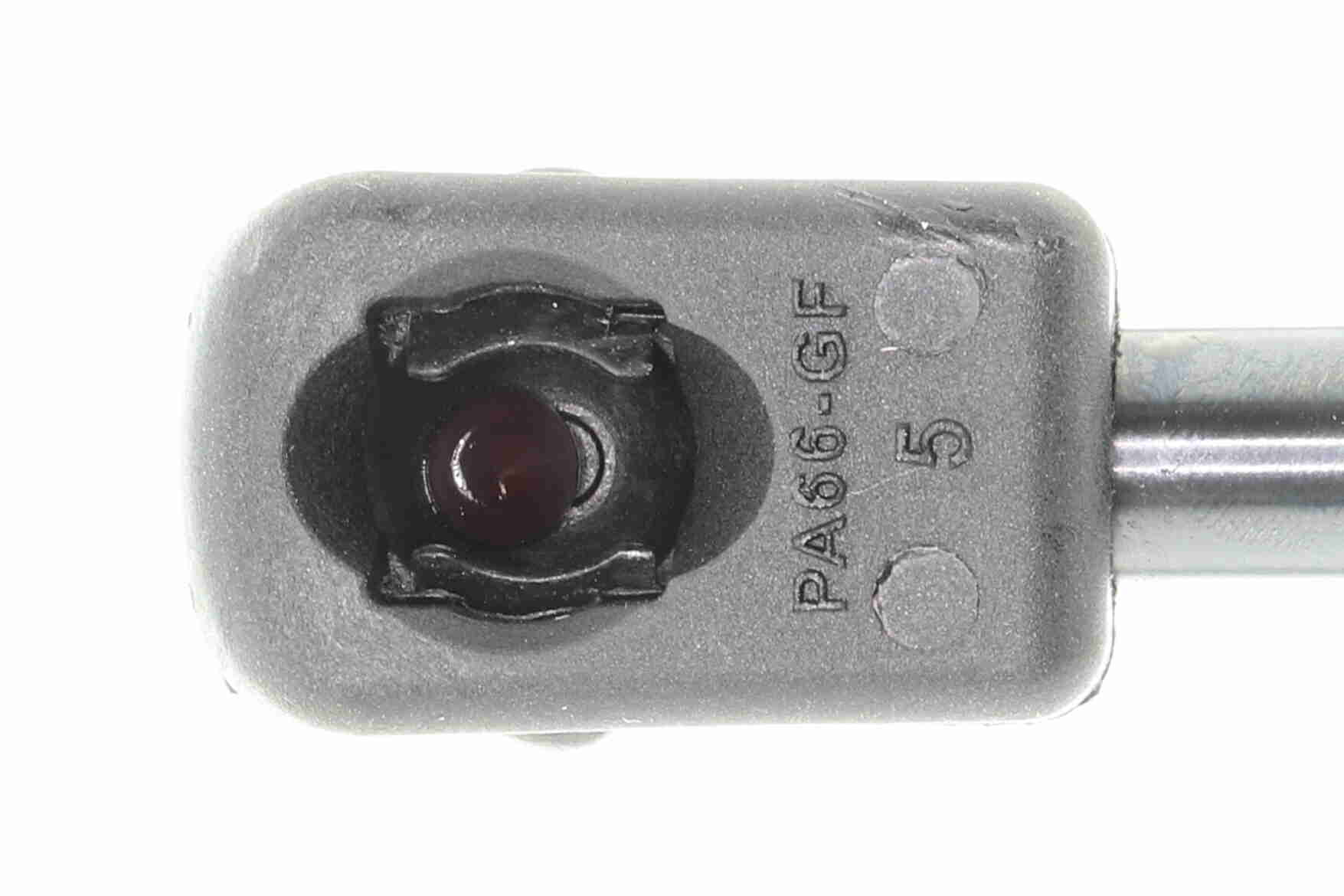 Ackoja Gasveer, kofferruimte A37-0061