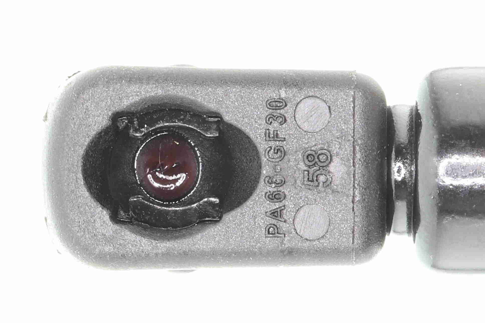 Ackoja Gasveer, kofferruimte A37-0064
