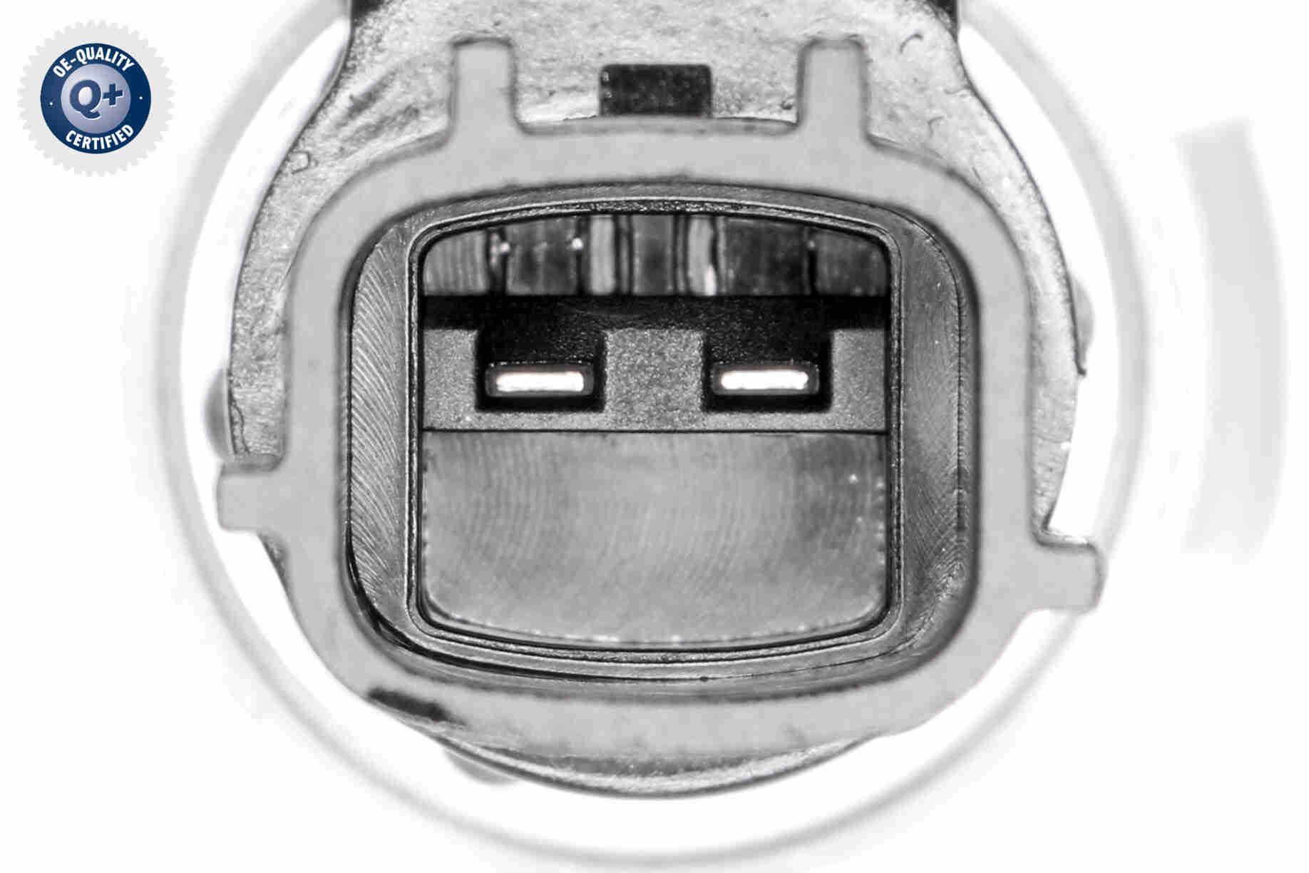 Ackoja Nokkenasregelklep A38-0456