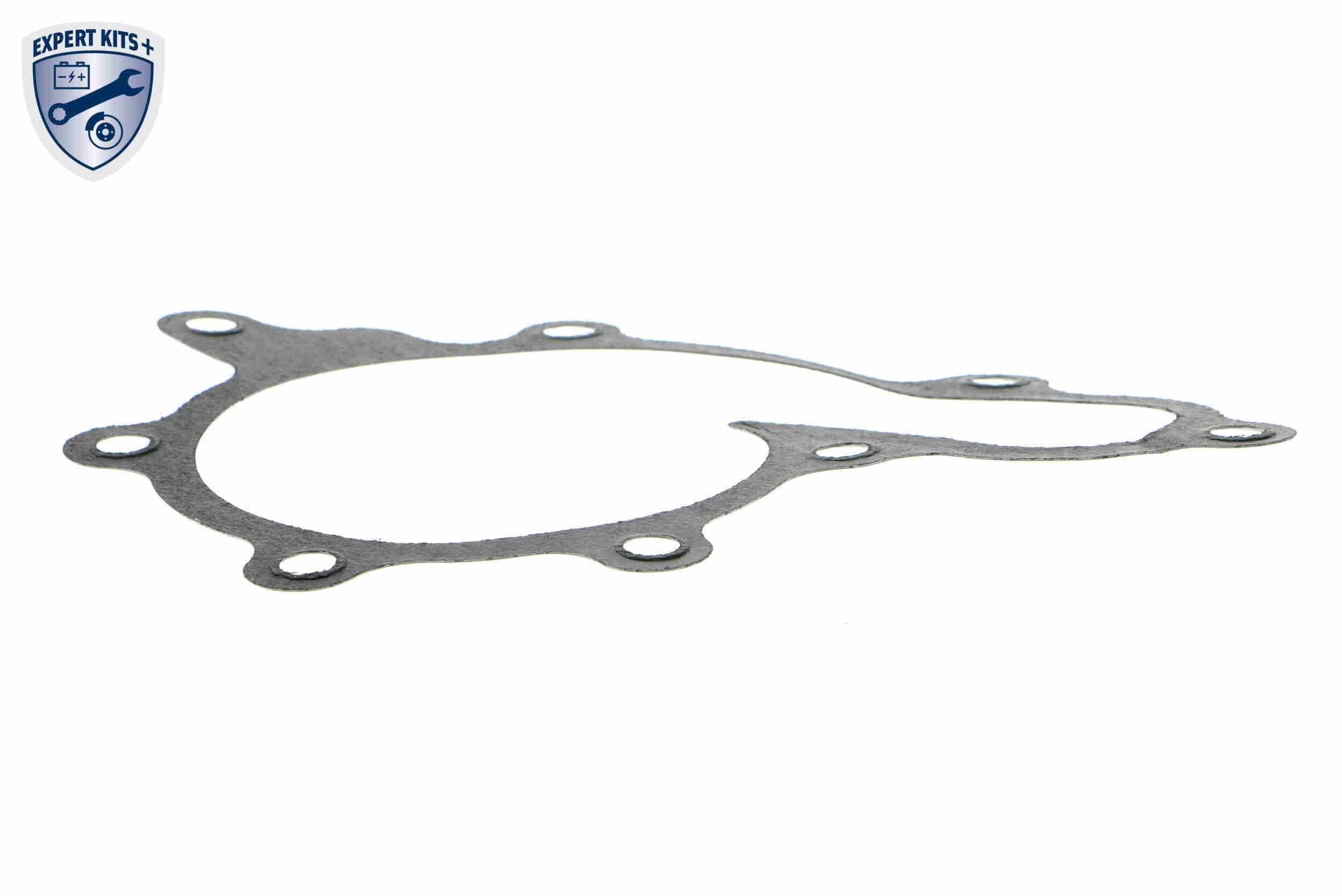 Ackoja Waterpomp A38-50014