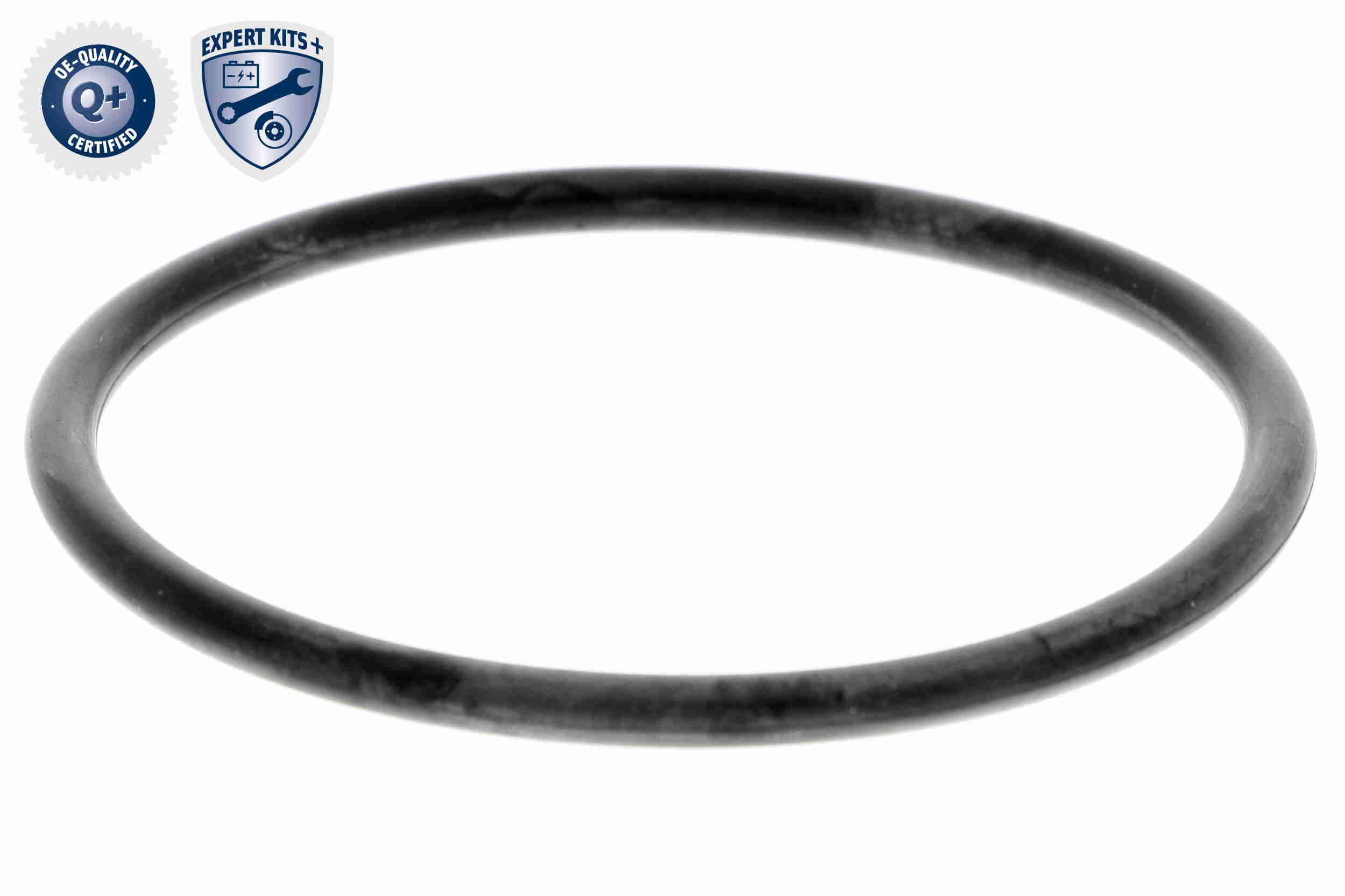 Ackoja Waterpomp A52-0709