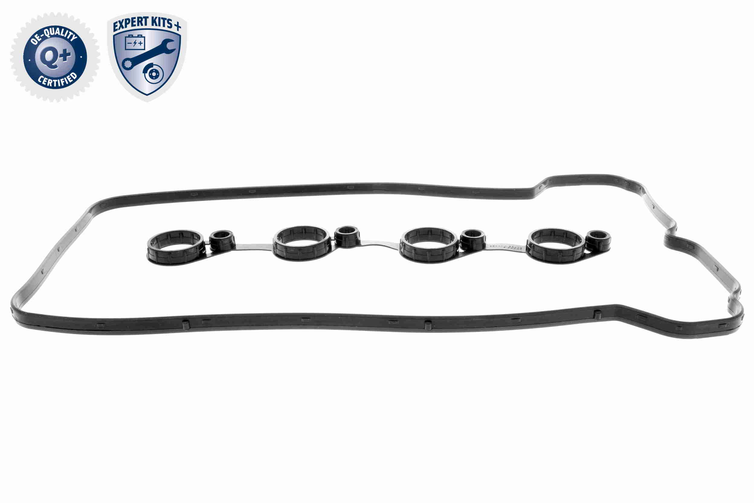 Ackoja Distributieketting kit A52-10001-XXL