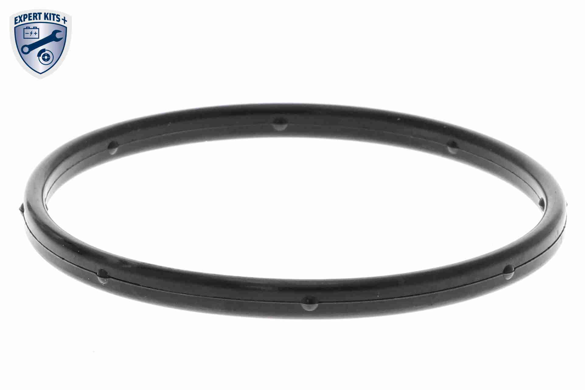 Ackoja Waterpomp A53-50010