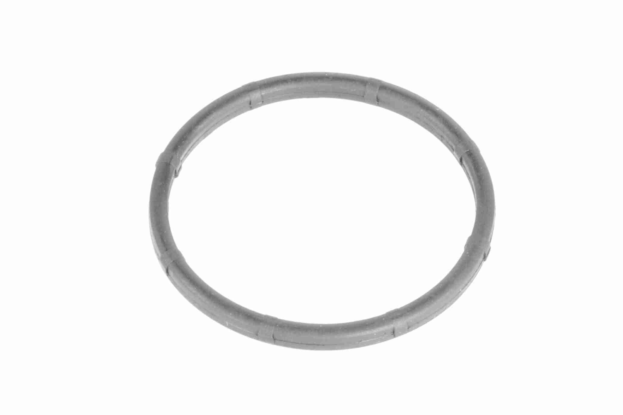 Ackoja Thermostaathuis A53-99-0012