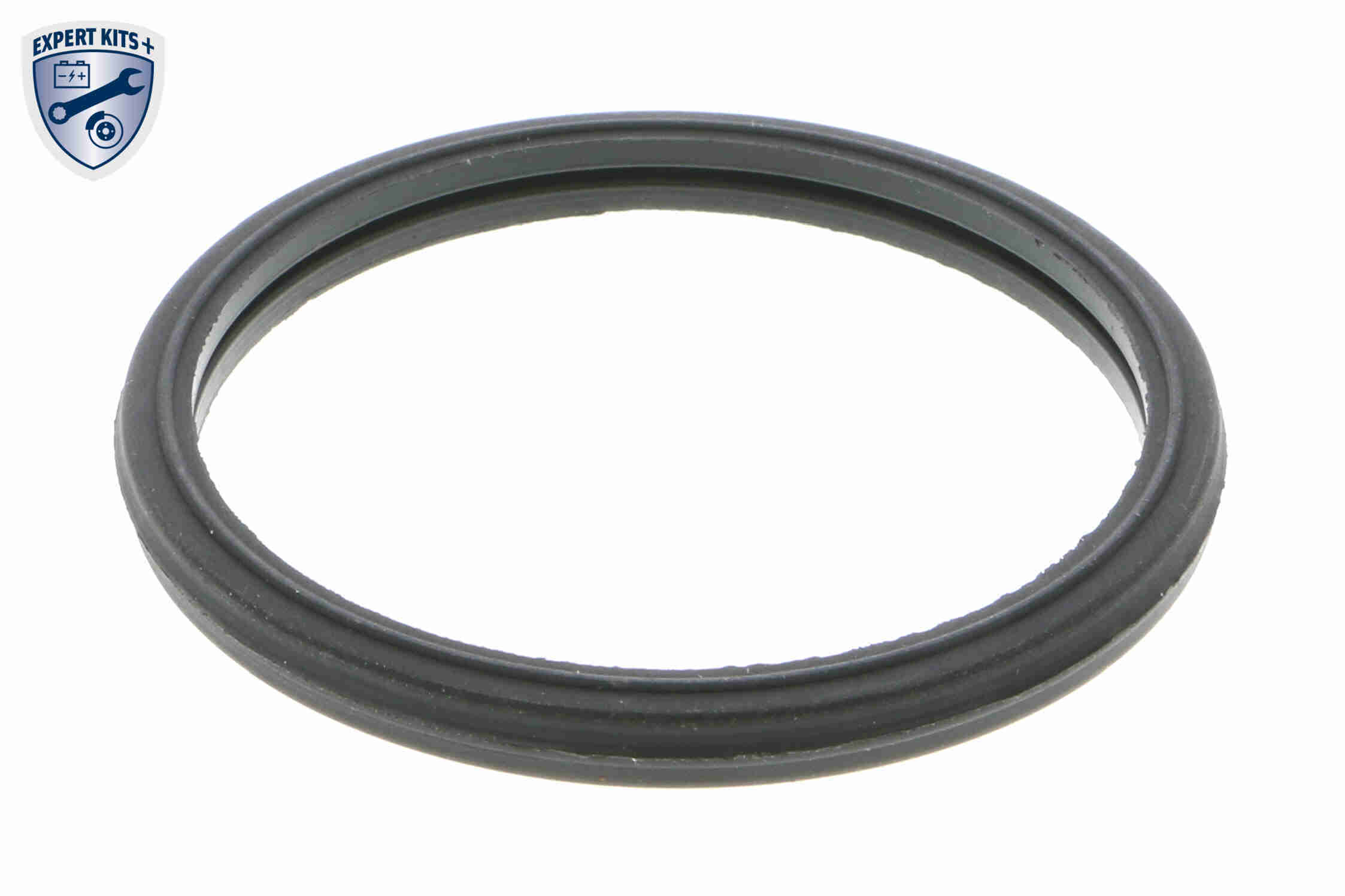 Ackoja Thermostaat A64-99-0006