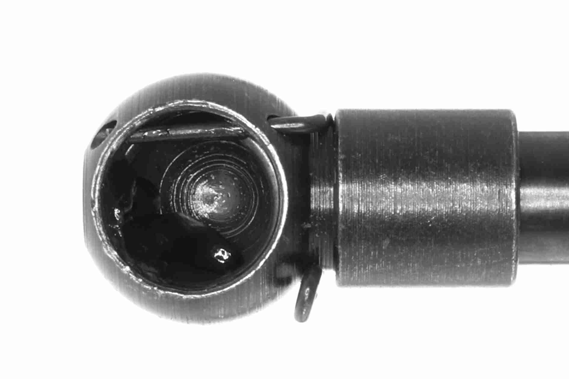 Ackoja Gasveer, kofferruimte A70-0103