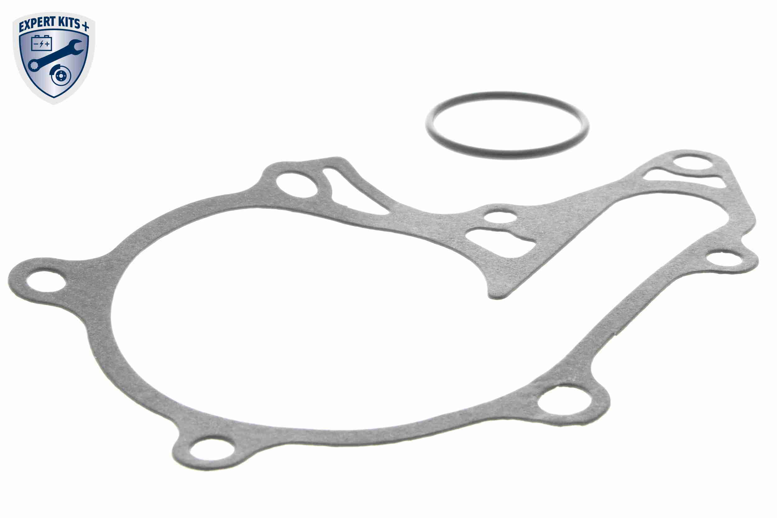 Ackoja Waterpomp A70-50001