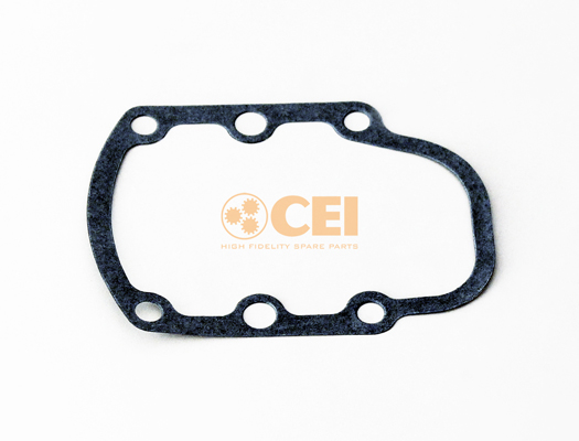 Versnellingsbakas dichtingsring C.E.I. 139.598