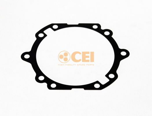 Versnellingsbakas dichtingsring C.E.I. 139.677