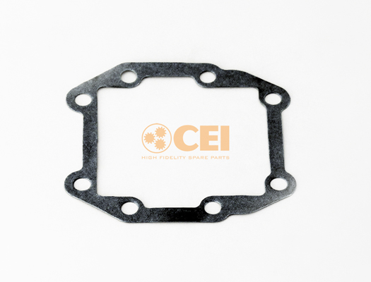Versnellingsbakas dichtingsring C.E.I. 239.194